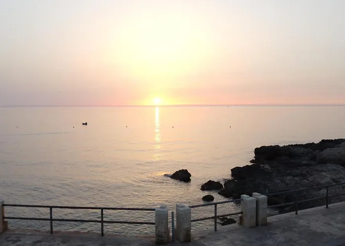 Archi Cimino モノーポリ